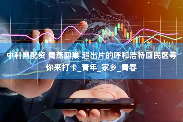 中利网配资 青燕回巢 超出片的呼和浩特回民区等你来打卡_青年_家乡_青春