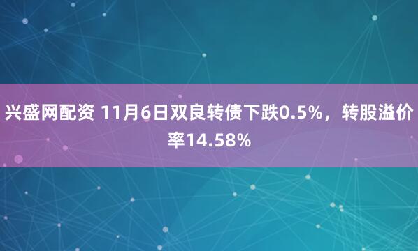 兴盛网配资 11月6日双良转债下跌0.5%，转股溢价率14.58%